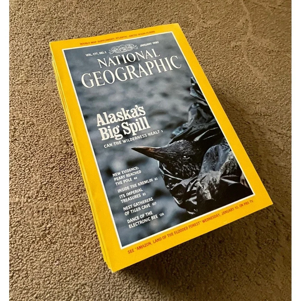 Lot of National Geographic Magazines 1990 lot of‎ 12 full set Jan-dec